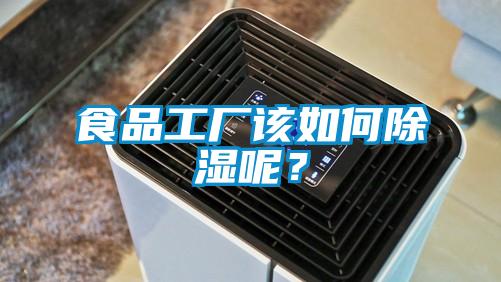 食品工廠該如何除濕呢？