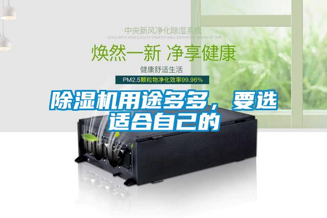 除濕機用途多多，要選適合自己的