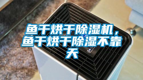 魚(yú)干烘干除濕機(jī)，魚(yú)干烘干除濕不靠天
