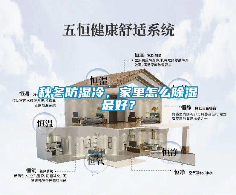 秋冬防濕冷，家里怎么除濕最好？