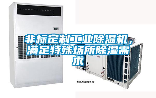 非標定制工業(yè)除濕機，滿足特殊場所除濕需求