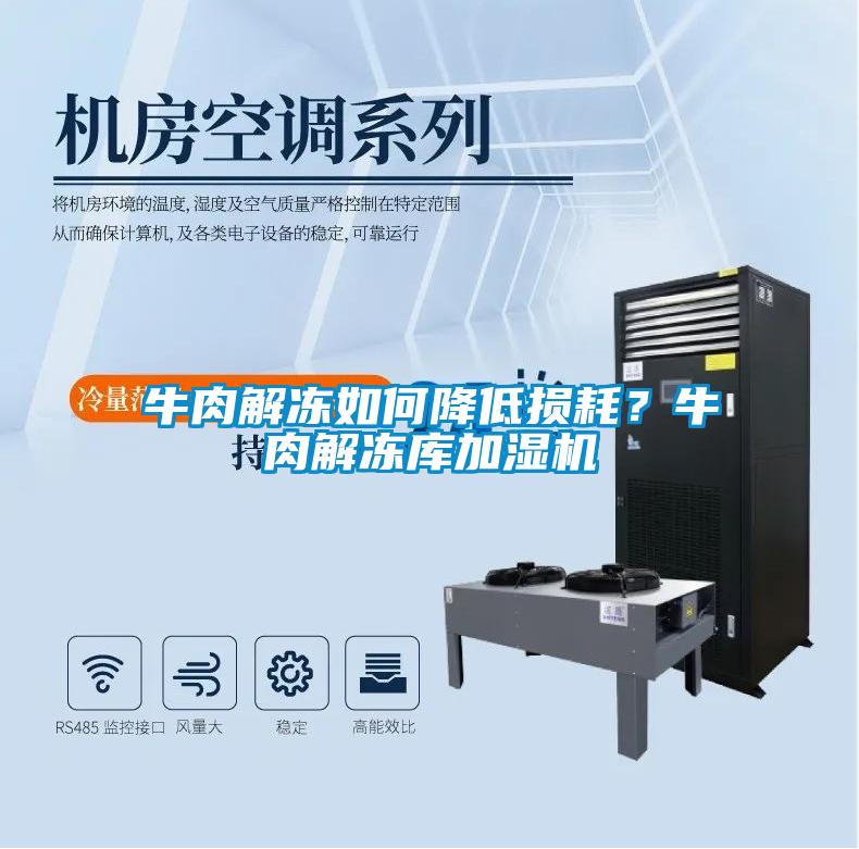 牛肉解凍如何降低損耗？牛肉解凍庫加濕機