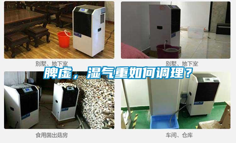 脾虛，濕氣重如何調理？
