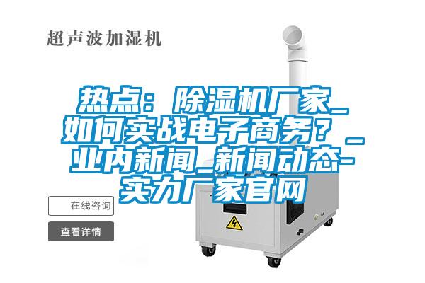 熱點：除濕機廠家_如何實戰(zhàn)電子商務？_業(yè)內新聞_新聞動態(tài)-實力廠家官網