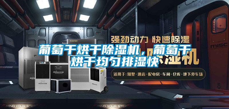 葡萄干烘干除濕機(jī)，葡萄干烘干均勻排濕快