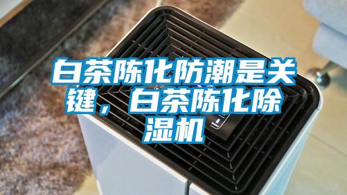 白茶陳化防潮是關(guān)鍵，白茶陳化除濕機(jī)