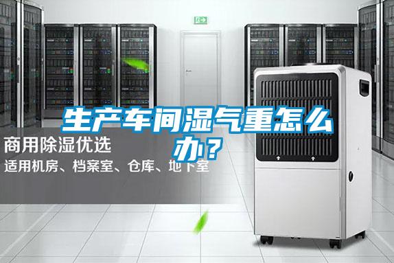 生產(chǎn)車間濕氣重怎么辦？