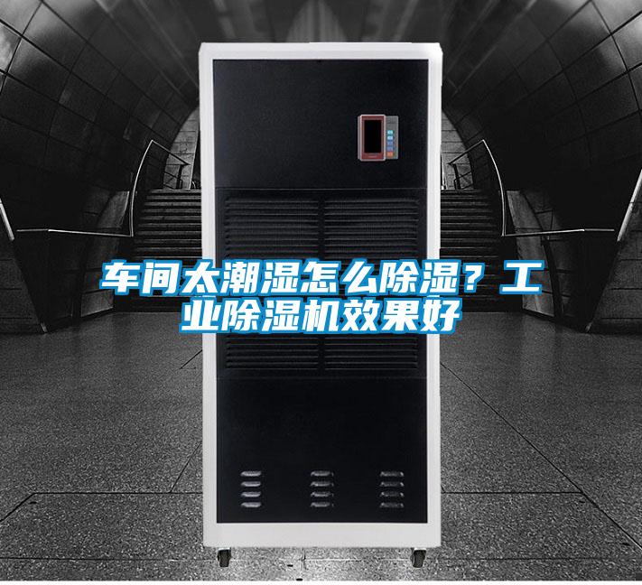 車間太潮濕怎么除濕？工業(yè)除濕機效果好