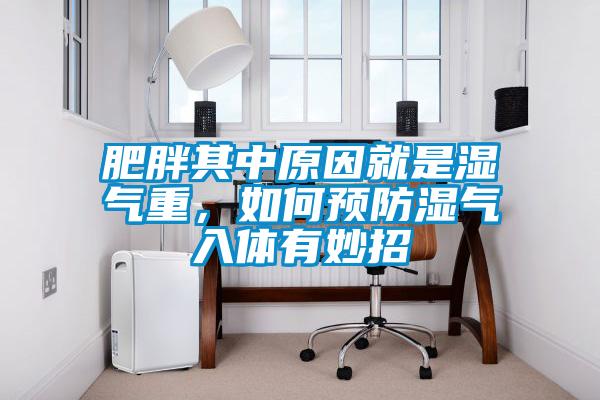 肥胖其中原因就是濕氣重，如何預(yù)防濕氣入體有妙招