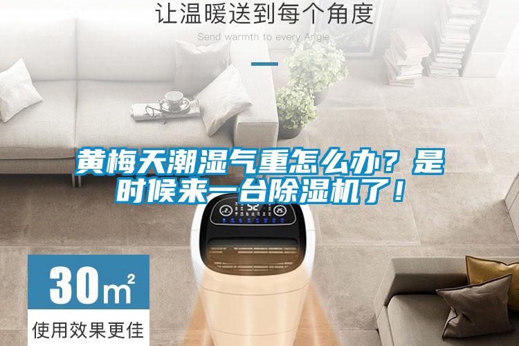 黃梅天潮濕氣重怎么辦？是時(shí)候來(lái)一臺(tái)除濕機(jī)了！