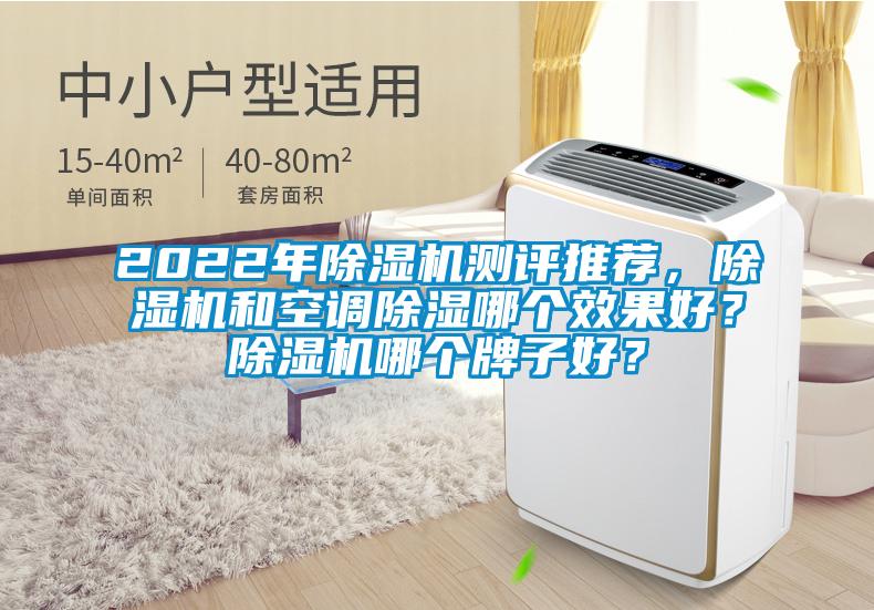 2022年除濕機(jī)測(cè)評(píng)推薦，除濕機(jī)和空調(diào)除濕哪個(gè)效果好？除濕機(jī)哪個(gè)牌子好？