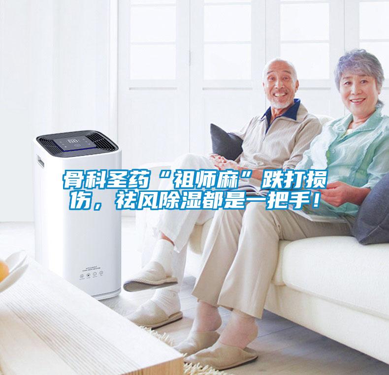 骨科圣藥“祖師麻”跌打損傷，祛風(fēng)除濕都是一把手！