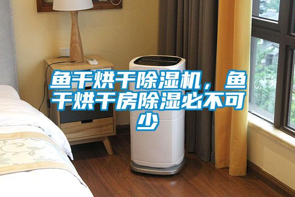 魚(yú)干烘干除濕機(jī)，魚(yú)干烘干房除濕必不可少