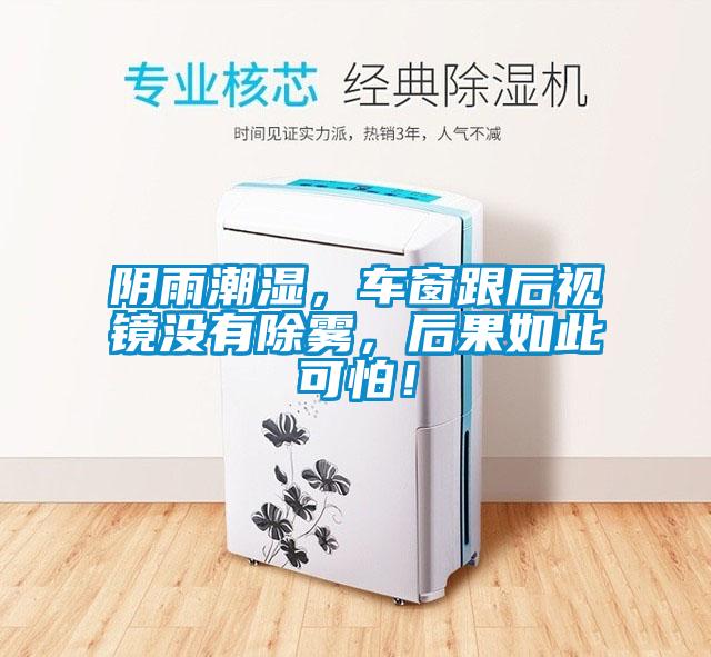 陰雨潮濕，車窗跟后視鏡沒有除霧，后果如此可怕！
