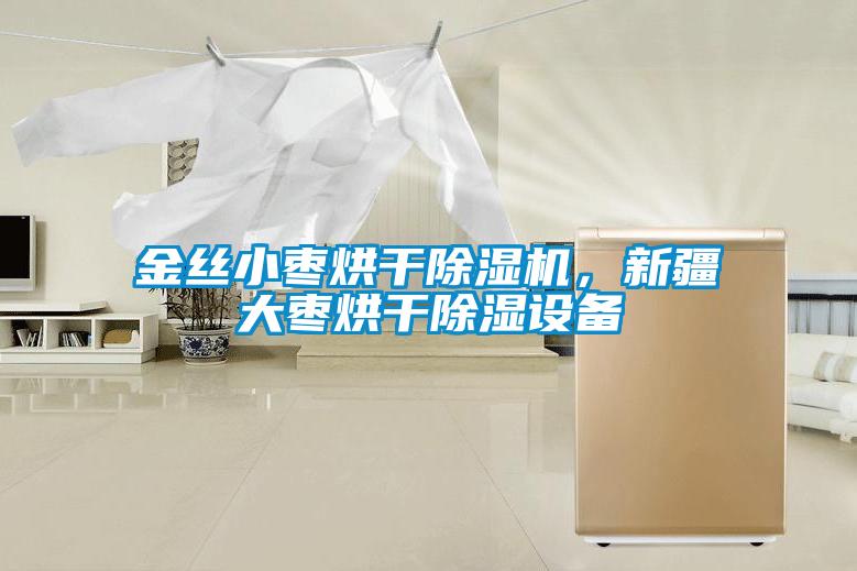 金絲小棗烘干除濕機，新疆大棗烘干除濕設備