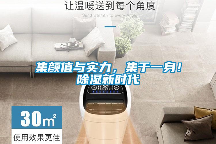 集顏值與實力，集于一身！除濕新時代