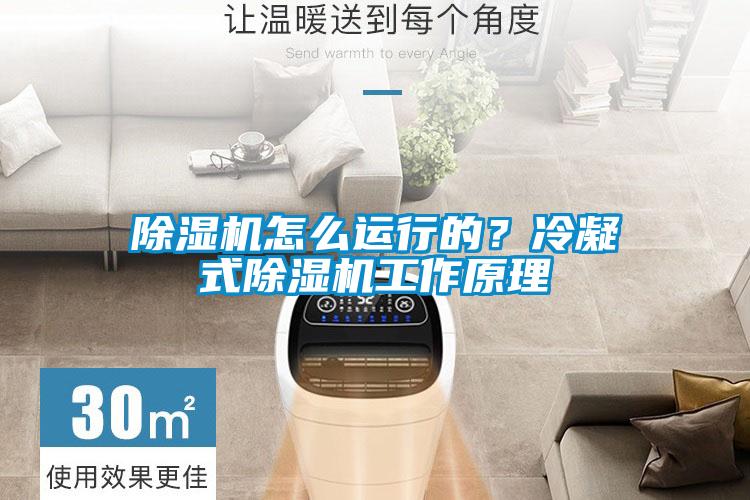 除濕機(jī)怎么運(yùn)行的？冷凝式除濕機(jī)工作原理