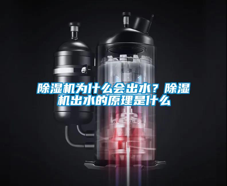 除濕機為什么會出水？除濕機出水的原理是什么