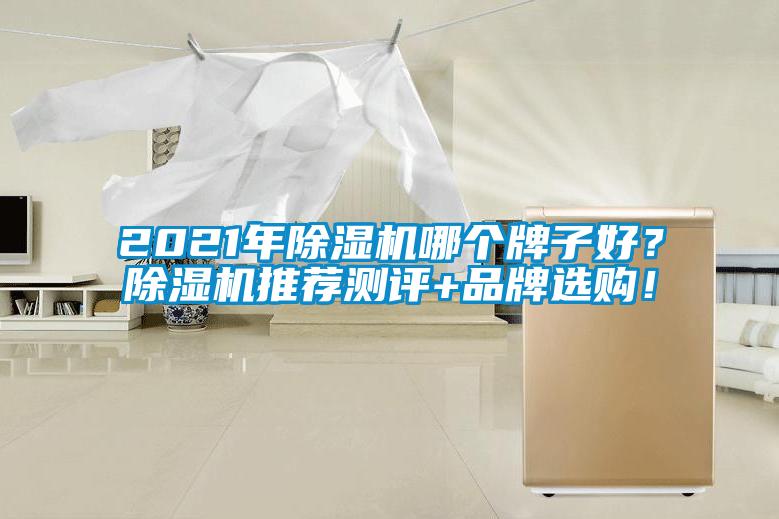 2021年除濕機(jī)哪個(gè)牌子好？除濕機(jī)推薦測(cè)評(píng)+品牌選購(gòu)！