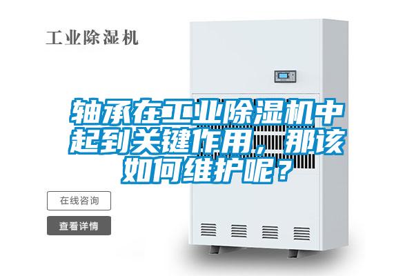 軸承在工業(yè)除濕機中起到關(guān)鍵作用，那該如何維護呢？