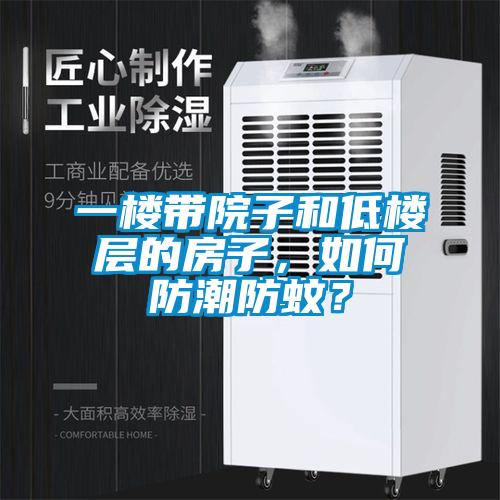 一樓帶院子和低樓層的房子，如何防潮防蚊？