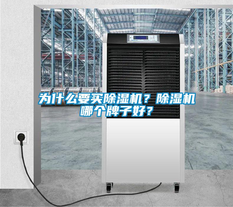 為什么要買除濕機(jī)？除濕機(jī)哪個牌子好？