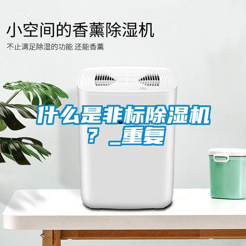 什么是非標(biāo)除濕機(jī)？_重復(fù)
