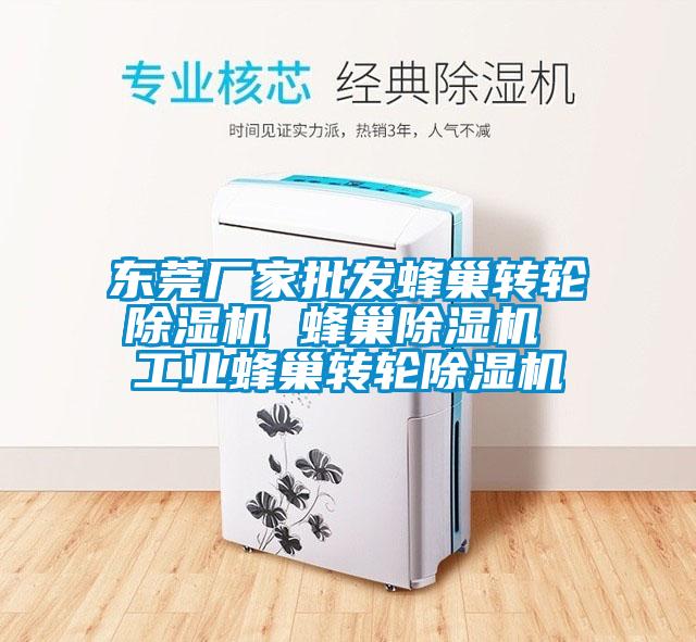 東莞廠家批發(fā)蜂巢轉輪除濕機 蜂巢除濕機 工業(yè)蜂巢轉輪除濕機