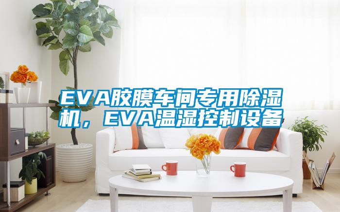 EVA膠膜車間專用除濕機(jī)，EVA溫濕控制設(shè)備