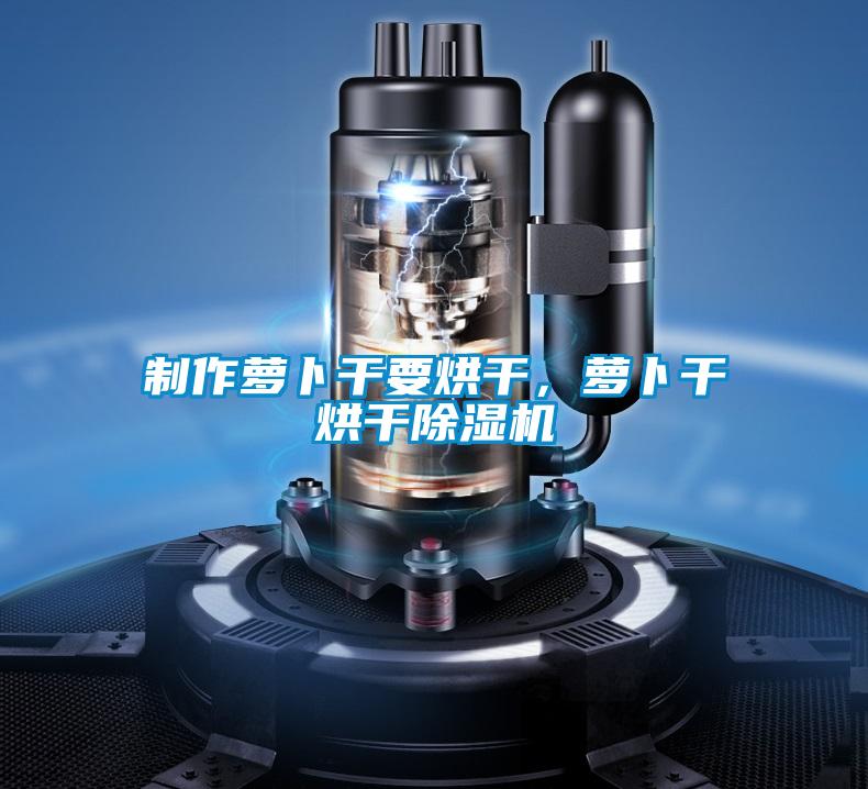 制作蘿卜干要烘干，蘿卜干烘干除濕機(jī)