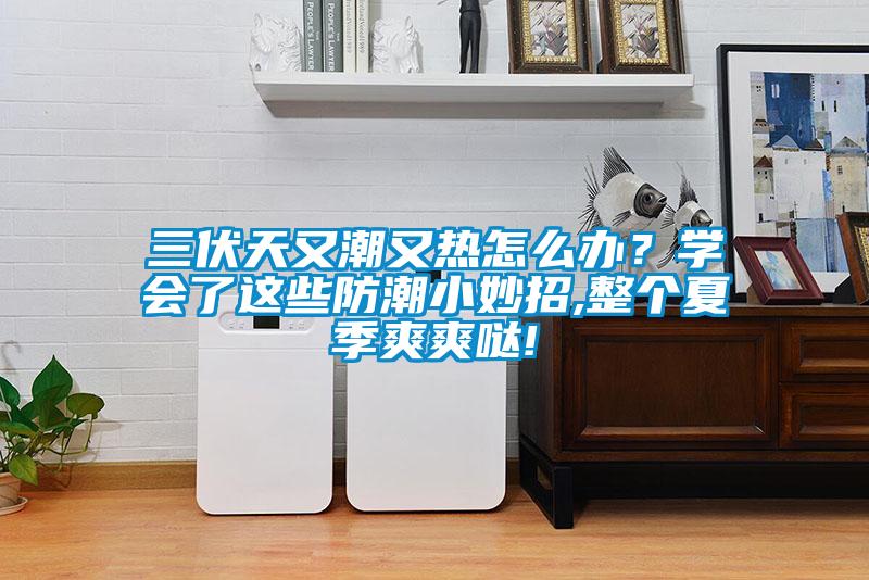 三伏天又潮又熱怎么辦？學(xué)會了這些防潮小妙招,整個夏季爽爽噠!