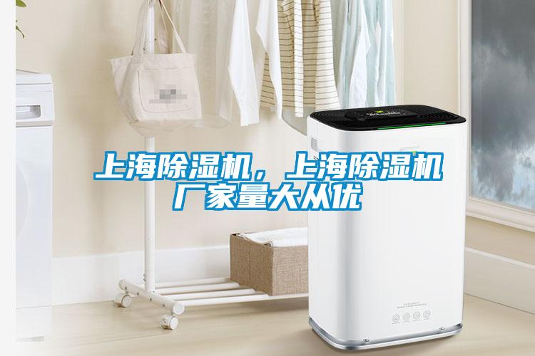 上海除濕機(jī)，上海除濕機(jī)廠家量大從優(yōu)