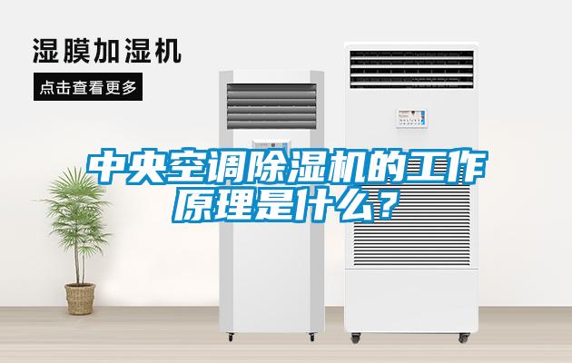 中央空調(diào)除濕機(jī)的工作原理是什么？