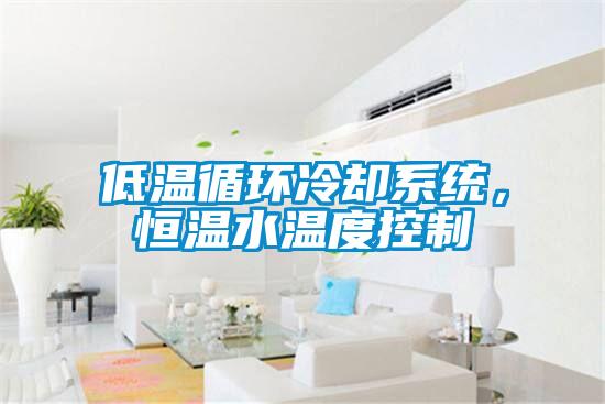 低溫循環(huán)冷卻系統(tǒng)，恒溫水溫度控制