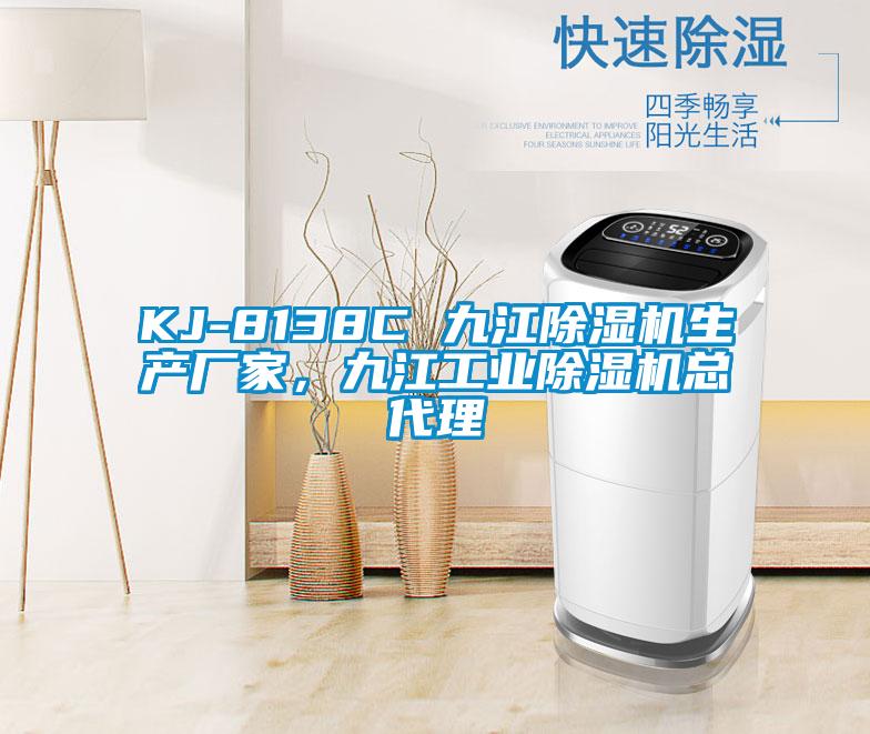 KJ-8138C 九江除濕機生產(chǎn)廠家，九江工業(yè)除濕機總代理