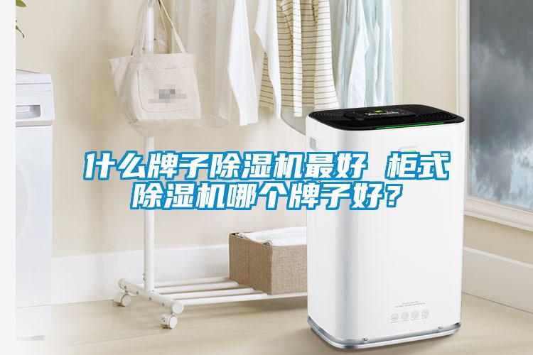 什么牌子除濕機(jī)最好 柜式除濕機(jī)哪個(gè)牌子好？