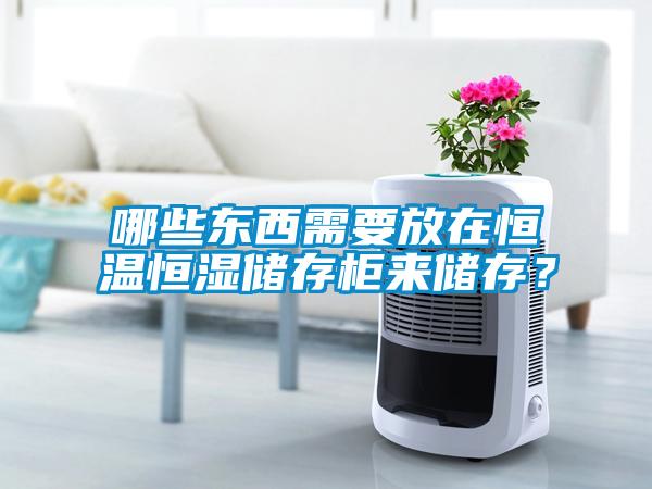 哪些東西需要放在恒溫恒濕儲存柜來儲存？