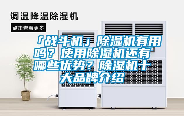 「戰(zhàn)斗機」除濕機有用嗎？使用除濕機還有哪些優(yōu)勢？除濕機十大品牌介紹