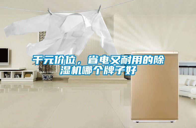 千元價(jià)位，省電又耐用的除濕機(jī)哪個(gè)牌子好
