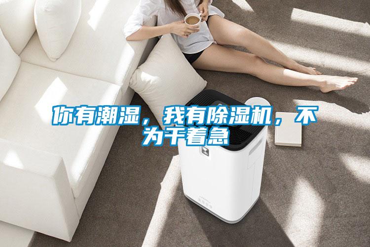 你有潮濕，我有除濕機，不為干著急