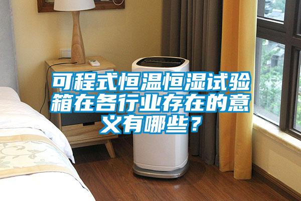 可程式恒溫恒濕試驗箱在各行業(yè)存在的意義有哪些？