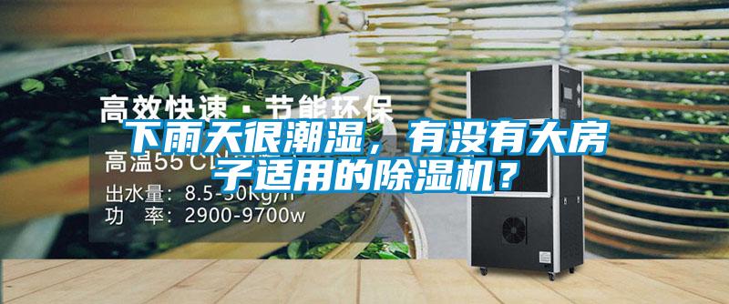 下雨天很潮濕，有沒有大房子適用的除濕機(jī)？