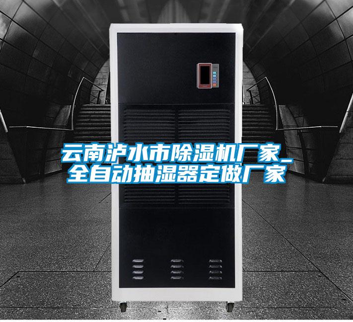 云南瀘水市除濕機(jī)廠(chǎng)家_全自動(dòng)抽濕器定做廠(chǎng)家
