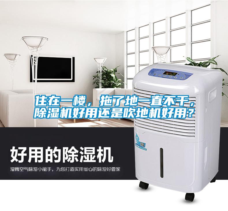 住在一樓，拖了地一直不干，除濕機(jī)好用還是吹地機(jī)好用？