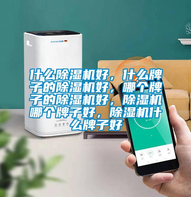 什么除濕機好，什么牌子的除濕機好，哪個牌子的除濕機好，除濕機哪個牌子好，除濕機什么牌子好