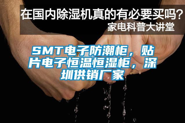 SMT電子防潮柜，貼片電子恒溫恒濕柜，深圳供銷廠家