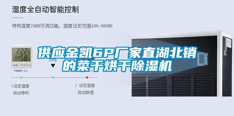 供應(yīng)金凱6P廠家直湖北銷(xiāo)的菜干烘干除濕機(jī)