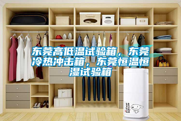 東莞高低溫試驗(yàn)箱，東莞冷熱沖擊箱，東莞恒溫恒濕試驗(yàn)箱