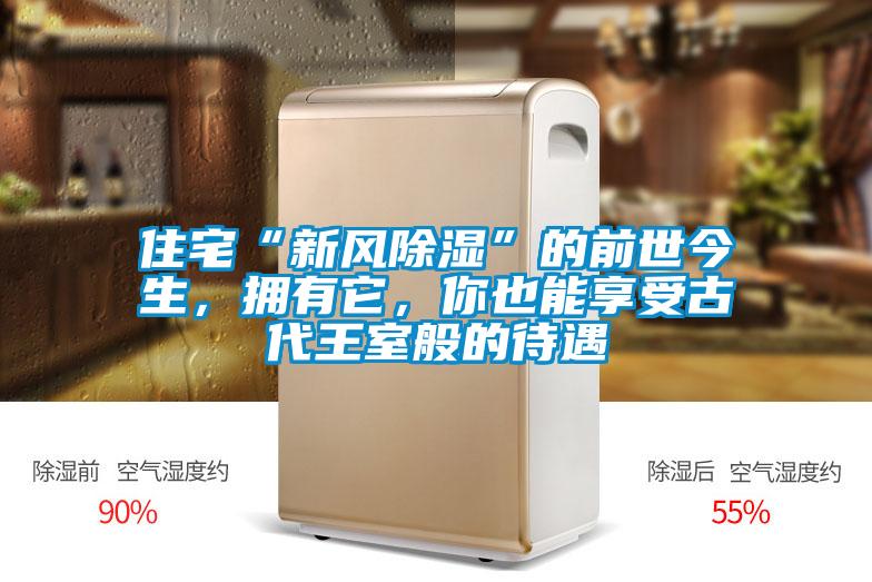 住宅“新風(fēng)除濕”的前世今生，擁有它，你也能享受古代王室般的待遇