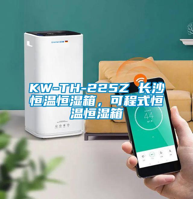 KW-TH-225Z 長沙恒溫恒濕箱，可程式恒溫恒濕箱